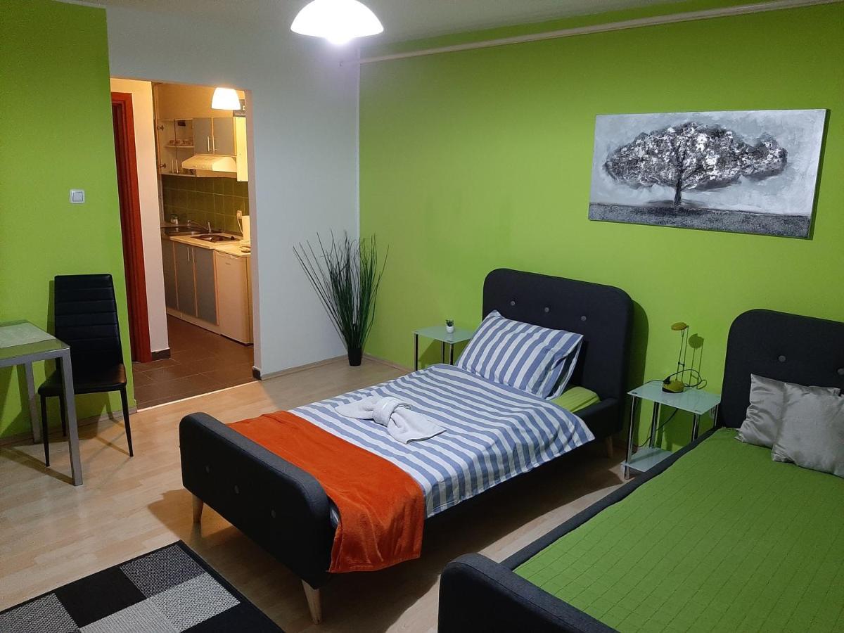 Arena Apartment